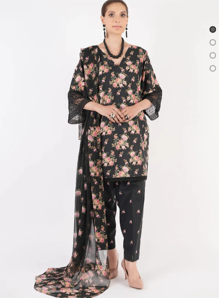 Bareeza Printed Khaddar 3PC - Image 4